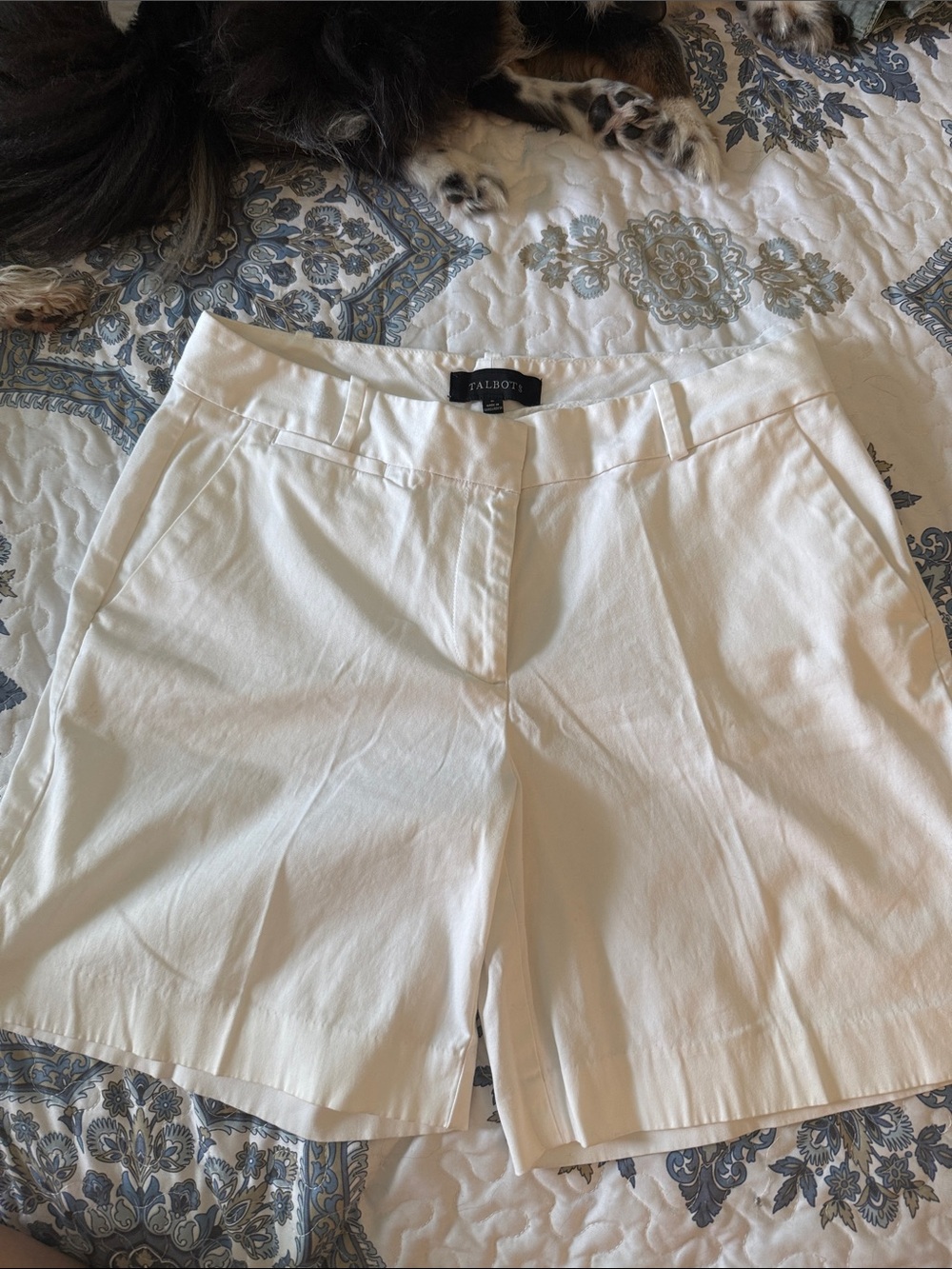 Talbots Cream Tailored Women's Bermuda Shorts